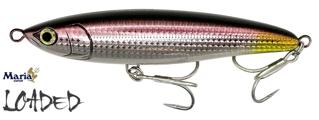 Leurre Flottant Maria Loaded F140 - 140mm, 43g, Couleur B08H - Pour Pêche En Mer